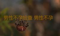 男性不孕检查 男性不孕的检查项目