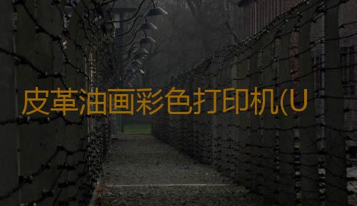 皮革油画彩色打印机(UV打印机原理及适用行业)