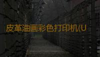 皮革油画彩色打印机(UV打印机原理及适用行业)