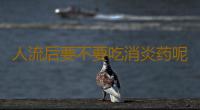 人流后要不要吃消炎药呢