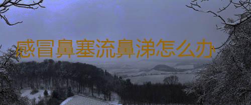 感冒鼻塞流鼻涕怎么办 摆脱鼻塞流涕的小妙招