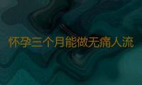怀孕三个月能做无痛人流吗