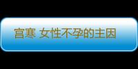 宫寒 女性不孕的主因