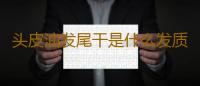 头皮油发尾干是什么发质 吹风筒对头发发质的损伤
