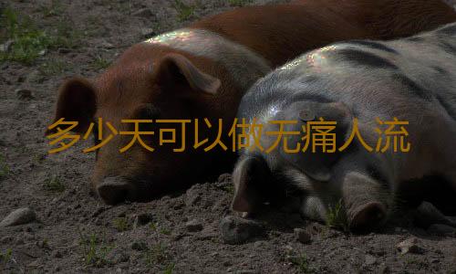 多少天可以做无痛人流