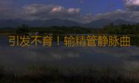 引发不育！输精管静脉曲张三大影响