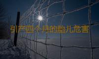 引产四个月的胎儿危害