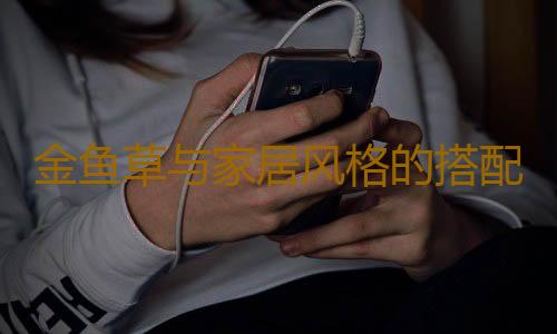金鱼草与家居风格的搭配