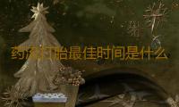 药流打胎最佳时间是什么
