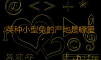 英种小型兔的产地是哪里？