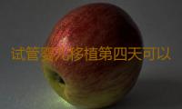 试管婴儿移植第四天可以检查了吗