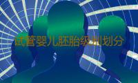试管婴儿胚胎级别划分