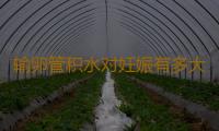 输卵管积水对妊娠有多大影响？